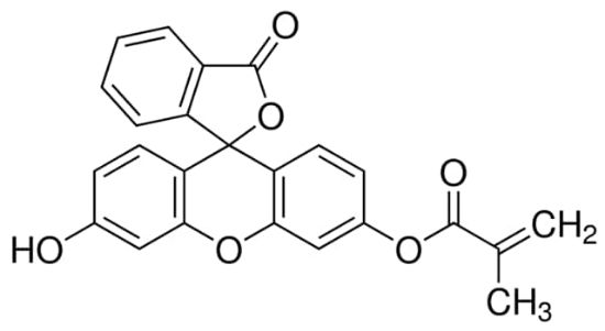 图片 荧光素O-甲基丙烯酸酯，Fluorescein O-methacrylate；95%