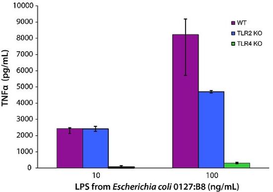 图片 脂多糖来源于大肠杆菌0127:B8；Lipopolysaccharides from Escherichia coli O127:B8 [LPS]；purified by ion-exchange chromatography, TLR ligand tested