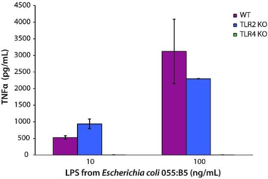 图片 脂多糖来源于大肠杆菌055:B5；Lipopolysaccharides from Escherichia coli O55:B5 [LPS]；purified by ion-exchange chromatography, TLR ligand tested
