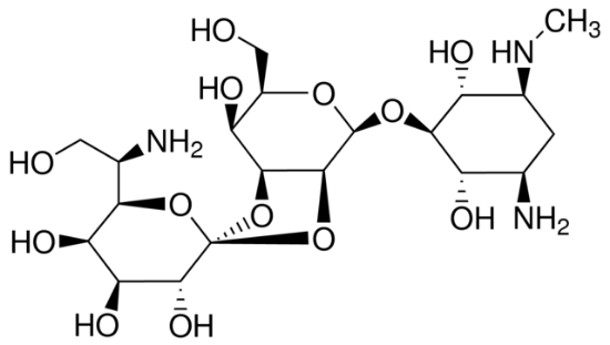 图片 潮霉素B，Hygromycin B；≥60% (HPLC), 45-60 mg/mL in H2O, γ-irradiated
