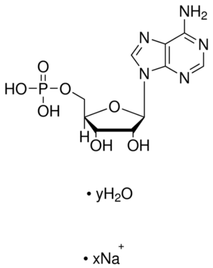 图片 腺苷-5'-单磷酸钠盐，Adenosine 5′-monophosphate sodium [A-5′-P, AMP]；Vetec™, reagent grade, 99%