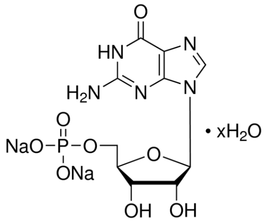 图片 鸟苷-5′-单磷酸二钠盐水合物，Guanosine 5′-monophosphate disodium salt hydrate [5′-GMP-Na2]；Pharmaceutical Secondary Standard; Certified Reference Material
