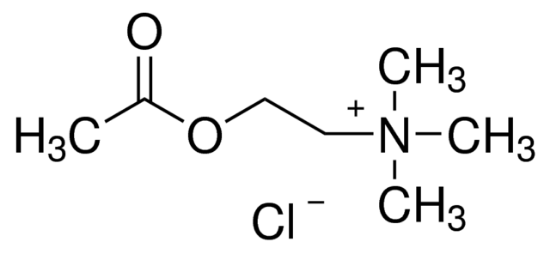 图片 氯化乙酰胆碱，Acetylcholine chloride [ACh]；Pharmaceutical Secondary Standard; Certified Reference Material