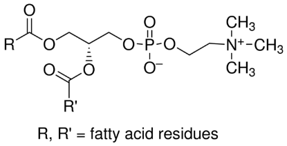 图片 L-α-磷脂酰胆碱 [大豆卵磷脂, PC]，L-α-Phosphatidylcholine；Calbiochem®