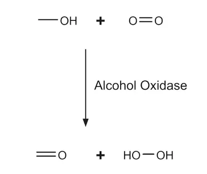 图片 乙醇氧化酶溶液来源于巴斯德毕赤酵母，Alcohol Oxidase solution from Pichia pastoris [AOX]；buffered aqueous solution, 10-40 units/mg protein (biuret)