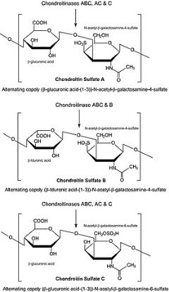图片 软骨素酶ABC来源于普通变形杆菌，Chondroitinase ABC from Proteus vulgaris；lyophilized powder, 0.3-3 units/mg solid