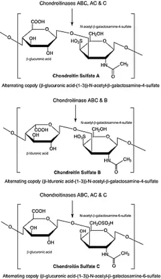 图片 软骨素酶AC来源于肝素黄杆菌，Chondroitinase AC from Flavobacterium heparinum；lyophilized powder, 0.5-1.5 units/mg protein (using chondroitin sulfate A as substrate)