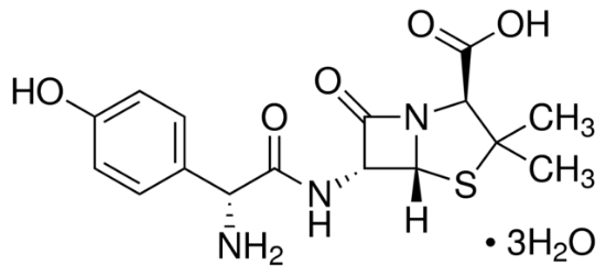 图片 阿莫西林三水合物，Amoxicillin trihydrate；Pharmaceutical Secondary Standard; Certified Reference Material