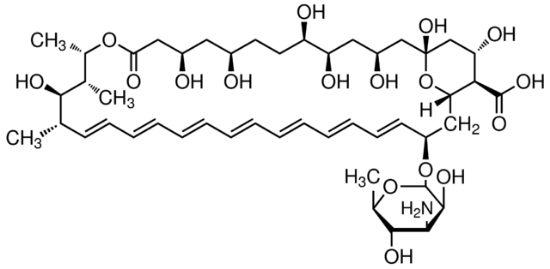 图片 两性霉素B来源于链霉菌属，Amphotericin B from Streptomyces sp；Vetec™, reagent grade, BioReagent, suitable for cell culture, ~80%