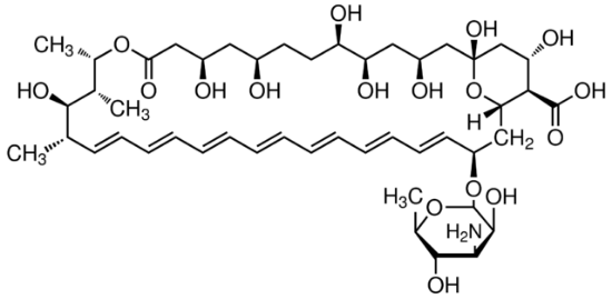 图片 两性霉素B，Amphotericin B；Pharmaceutical Secondary Standard; Certified Reference Material