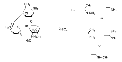 图片 硫酸庆大霉素来源于紫红小单孢菌，Gentamicin sulfate from Micromonospora purpurea；≥590 μg/mg of gentamicin