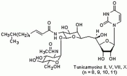 图片 衣霉素来源于链霉菌溶表球菌，Tunicamycin, Streptomyces lysosuperficus；Calbiochem®, ≥98% (A+B+C+D, HPLC)