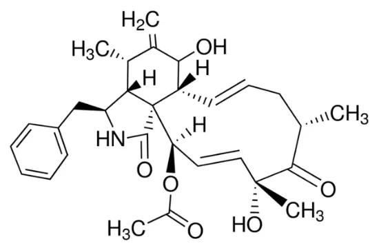 图片 细胞松驰素D，Cytochalasin D；from Zygosporium mansonii, ≥98% (TLC and HPLC), powder