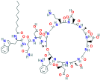 图片 达托霉素，Daptomycin；cyclic lipopeptide antibiotic