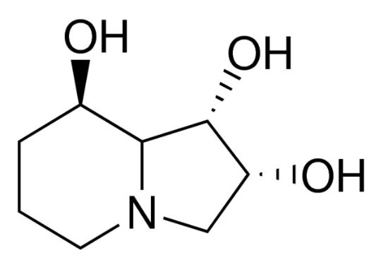 图片 苦马豆素，Swainsonine；from Metarrhizium anisopliae, ≥98% (TLC)