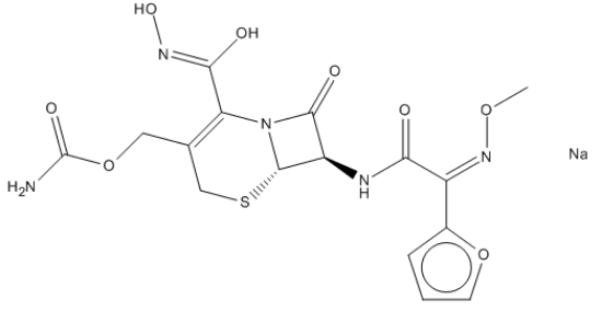图片 头孢唑肟钠盐，Ceftizoxime sodium salt；≥98% (HPLC)