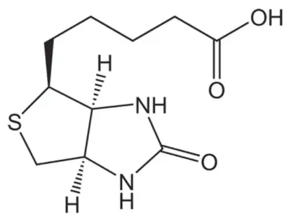 图片 D-生物素 [维生素B7]，D-Biotin；Novabiochem®