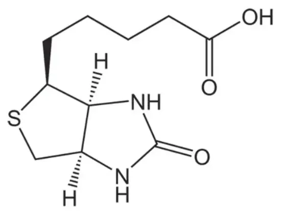 图片 D-生物素 [维生素B7]，D-Biotin；Novabiochem®