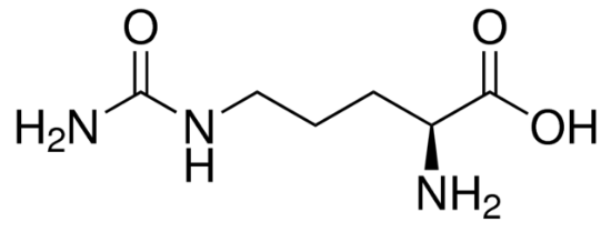 图片 L-瓜氨酸，L-Citrulline；pharmaceutical secondary standard, certified reference material