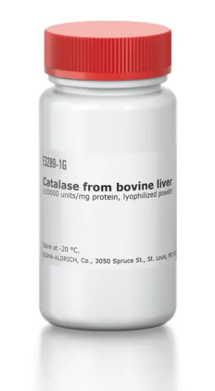 图片 过氧化氢酶来源于牛肝脏，Catalase from bovine liver；≥20000 units/mg protein, lyophilized powder