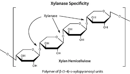 图片 Driselase崩溃酶™来源于担子菌纲，Driselase™ from Basidiomycetes sp.；powder, Protein ≥10 % by biuret