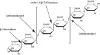 图片 Driselase崩溃酶™来源于担子菌纲，Driselase™ from Basidiomycetes sp.；powder, Protein ≥10 % by biuret