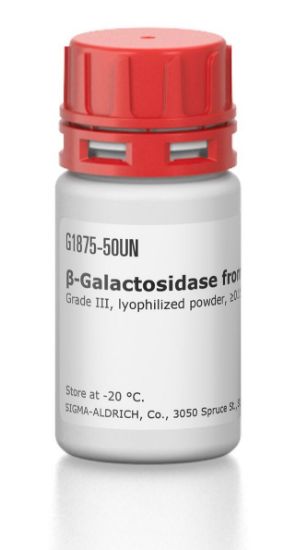 图片 β-半乳糖苷酶来源于牛肝脏，β-Galactosidase from bovine liver [Lactase]；Grade III, lyophilized powder, ≥0.15 units/mg protein