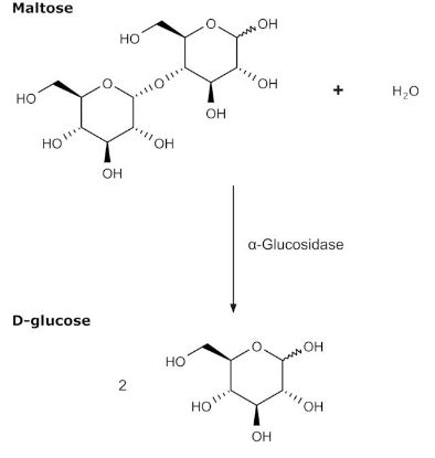 图片 α-葡萄糖苷酶来源于大米，α-Glucosidase from rice；Type V, ammonium sulfate suspension, 40-80 units/mg protein