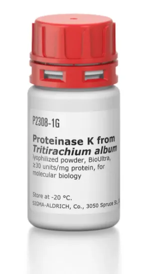 图片 蛋白酶K来源于林伯氏白色念球菌，Proteinase K from Tritirachium album；lyophilized powder, BioUltra, ≥30 units/mg protein, for molecular biology
