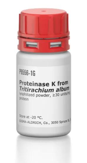 图片 蛋白酶K来源于林伯氏白色念球菌，Proteinase K from Tritirachium album；lyophilized powder, ≥30 units/mg protein