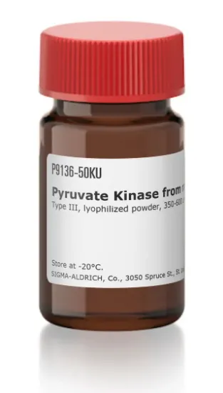 图片 丙酮酸激酶来源于兔肌肉，Pyruvate Kinase from rabbit muscle [PK]；Type III, lyophilized powder, 350-600 units/mg protein