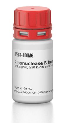图片 核糖核酸酶B来源于牛胰腺 [RNA酶B]，Ribonuclease B from bovine pancreas [RNase B]；BioReagent, ≥50 Kunitz units/mg protein, ≥80% (SDS-PAGE)