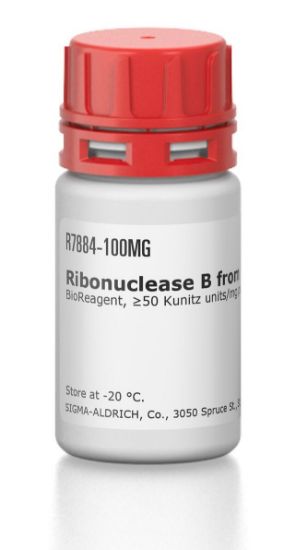 图片 核糖核酸酶B来源于牛胰腺 [RNA酶B]，Ribonuclease B from bovine pancreas [RNase B]；BioReagent, ≥50 Kunitz units/mg protein, ≥80% (SDS-PAGE)