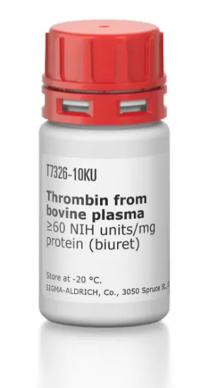 图片 凝血酶来源于牛血浆，Thrombin from bovine plasma [Factor IIa]；≥60 NIH units/mg protein (biuret)