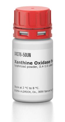 图片 黄嘌呤氧化酶来源于牛奶 [XOD]，Xanthine Oxidase from bovine milk；lyophilized powder, 0.4-1.0 units/mg protein