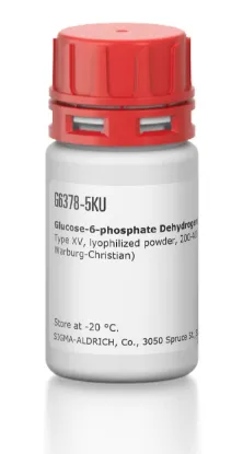 图片 葡萄糖-6-磷酸脱氢酶来源于面包酵母(酿酒酵母)，Glucose-6-phosphate Dehydrogenase from baker's yeast (S. cerevisiae) [G-6-P-DH, G6PDH]；Type XV, lyophilized powder, 200-400 units/mg protein (modified Warburg-Christian)