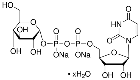 图片 尿苷-5′-二磷酸葡萄糖二钠盐来源于酿酒酵母 [UDPG, UDP-GLC]，Uridine 5′-diphosphoglucose disodium salt hydrate from Saccharomyces cerevisiae；≥98.0% (HPLC)