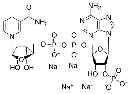 图片 还原型辅酶II四钠盐 [β-NADPH Na4]，β-Nicotinamide adenine dinucleotide 2′-phosphate reduced tetrasodium salt hydrate；Calbiochem®, ≥90% (HPLC); ≥93% (enzymatic)