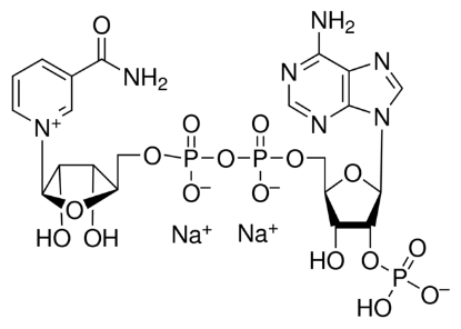 图片 β-磷酸烟酰胺腺嘌呤二核苷酸二钠盐 [氧化型辅酶II钠盐, β-NADP-Na2]，β-Nicotinamide adenine dinucleotide phosphate disodium salt；Calbiochem®, ≥95% (enzymatic)