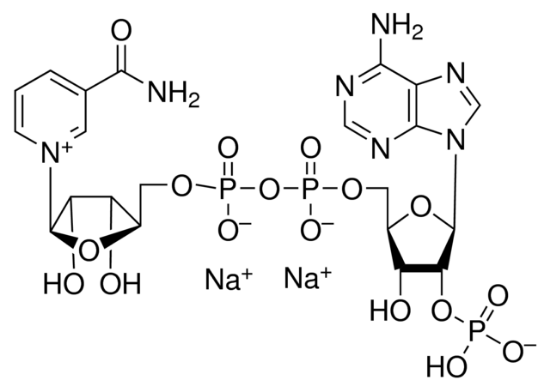 图片 β-磷酸烟酰胺腺嘌呤二核苷酸二钠盐 [氧化型辅酶II钠盐, β-NADP-Na2]，β-Nicotinamide adenine dinucleotide phosphate disodium salt；Calbiochem®, ≥95% (enzymatic)