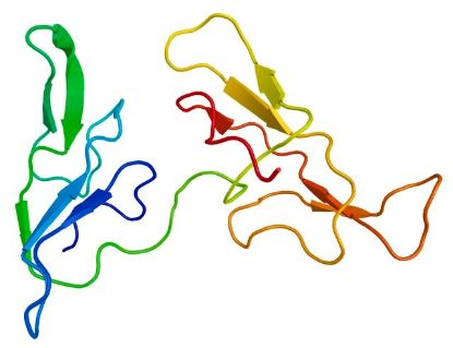 图片 蛋白酶抑制剂与磷酸酶抑制剂混合物，Protease and Phosphatase Inhibitor Cocktail；DMSO solution