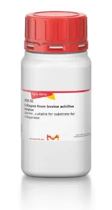 图片 胶原蛋白来源于牛跟腱，Collagen from bovine achilles tendon；powder, suitable for substrate for collagenase