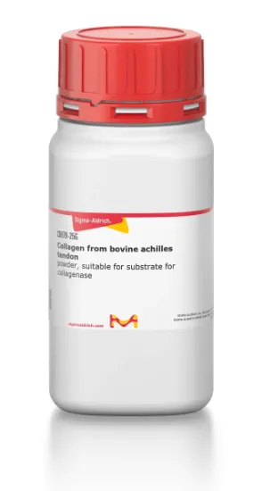 图片 胶原蛋白来源于牛跟腱，Collagen from bovine achilles tendon；powder, suitable for substrate for collagenase