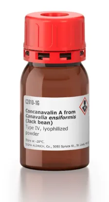 图片 伴刀豆球蛋白A来源于洋刀豆(刀豆)，Concanavalin A from Canavalia ensiformis (Jack bean) [ConA]；Type IV, lyophilized powder