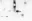 图片 伴刀豆球蛋白A来源于洋刀豆(刀豆)，Concanavalin A from Canavalia ensiformis (Jack bean) [ConA]；peroxidase conjugate, lyophilized powder