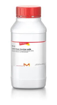 图片 酪蛋白来源于牛奶 [干酪素]，Casein from bovine milk；suitable for substrate for protein kinase (after dephosphorylation), purified powder