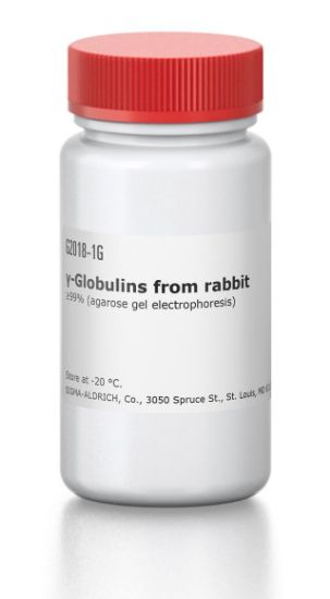 图片 γ-球蛋白来源于兔血液，γ-Globulins from rabbit blood；≥99% (agarose gel electrophoresis)