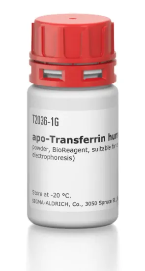 图片 人脱铁转铁蛋白 [人转铁蛋白]，apo-Transferrin human；powder, BioReagent, suitable for cell culture, ≥98% (agarose gel electrophoresis)