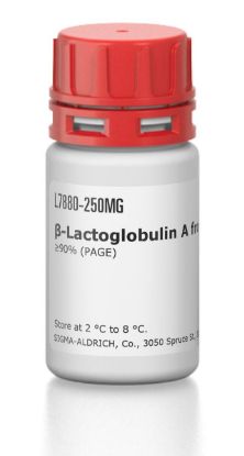 图片 β-乳球蛋白A来源于牛奶，β-Lactoglobulin A from bovine milk [BLG-A]；≥90% (PAGE)