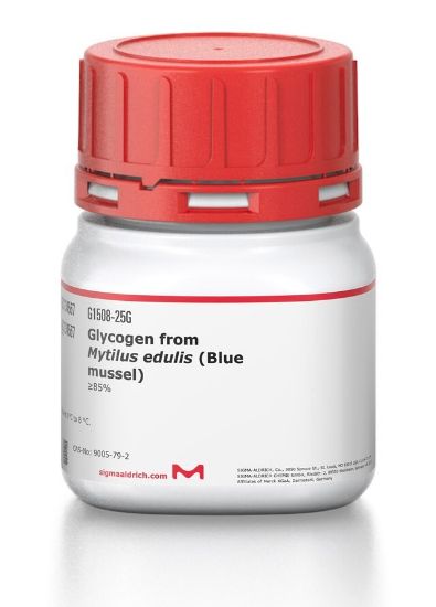 图片 糖原来源于蓝贻贝 [糖元]，Glycogen from Mytilus edulis (Blue mussel)；≥85%